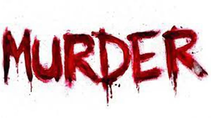 Murder mystery Image: Internet