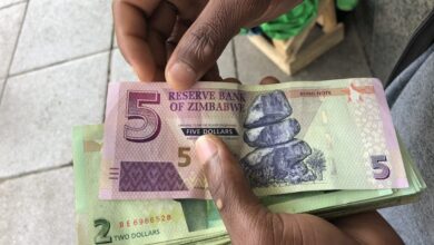 Zimbabwe Bond Notes Image: Internet